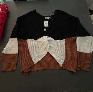 Caren Sport Black, White, and Brown V-Neck Sweater
